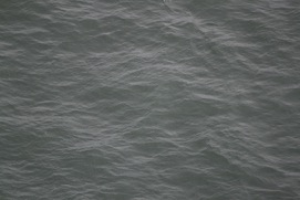 Missing Picture